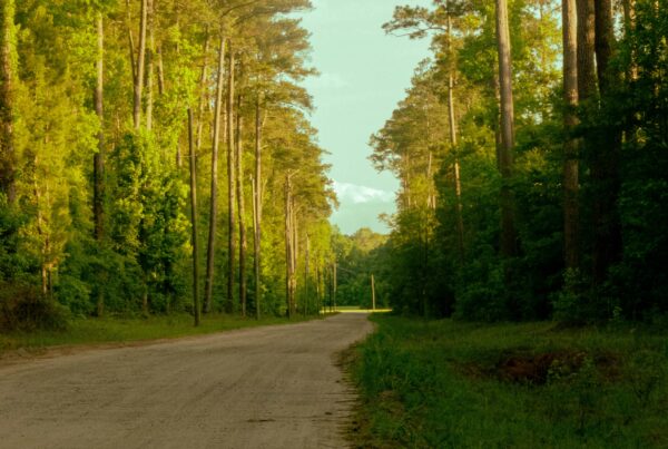 West Midland Alcohol rehab and drug rehab, image of a path in the woods