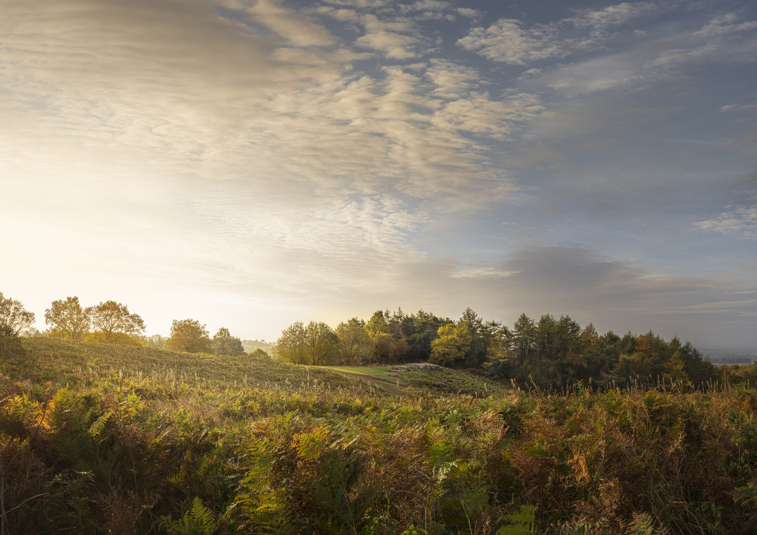 Drug and Alcohol Rehab Birmingham, West Midlands. Country side