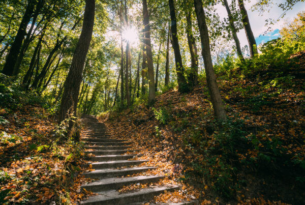 Drug and Alcohol Rehab Birmingham, West Midlands. Nature steps