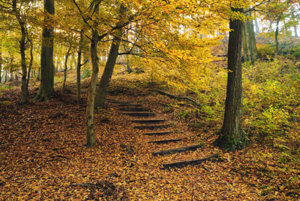 Drug and Alcohol Rehab Birmingham, West Midlands. Steps in nature