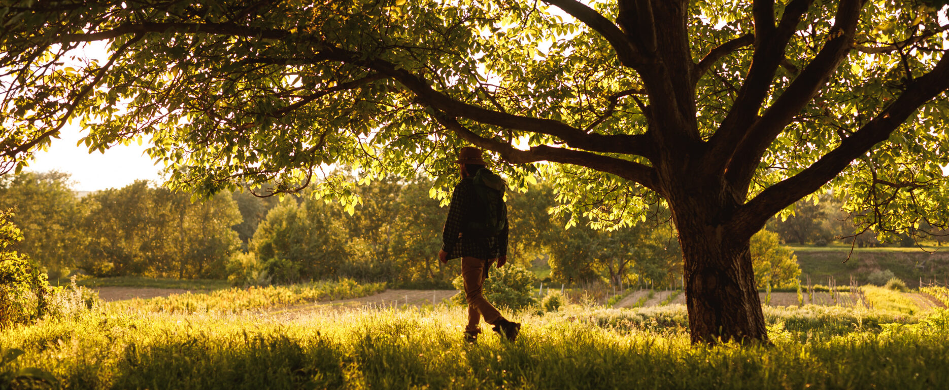 Drug and Alcohol Rehab Birmingham, West Midlands. Man walking past a tree outside.